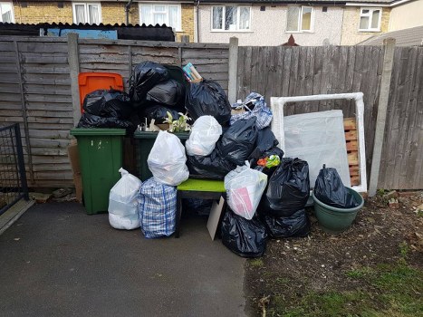 Variety of domestic skips for hire in Lewisham