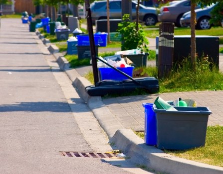 Affordable skip hire options in Lewisham